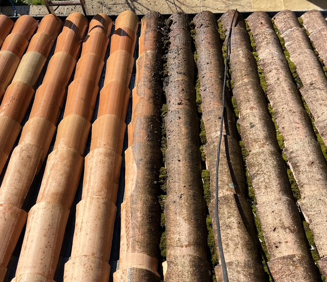 Démoussage de toiture en cours