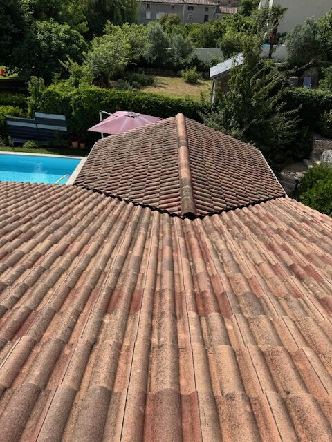 Toiture envahie de mousse